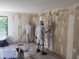  Johnson City, NY Mold Removal Pros